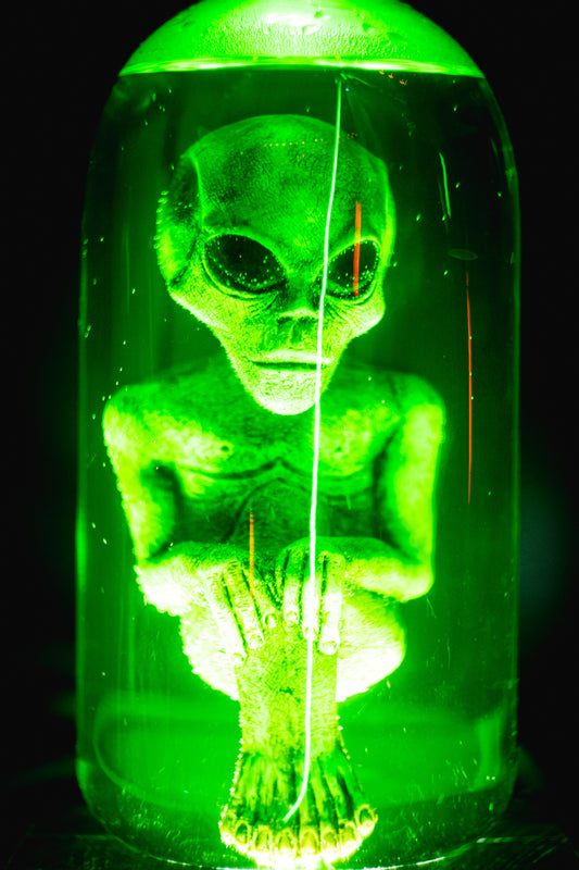 ALรEN LAMP โข๏ธ